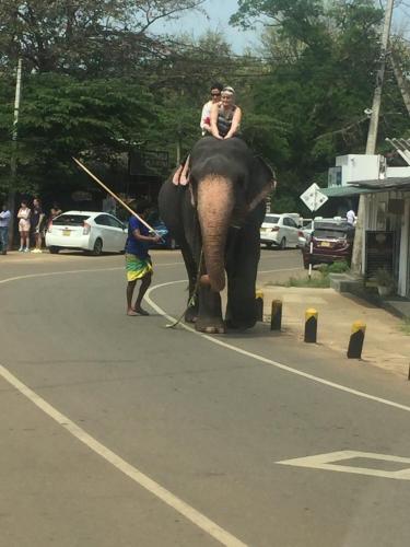 two people riding on the back of an elephant on a street at Lucky Prince Villa in Aluthgama
