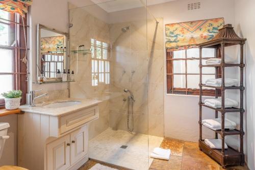a bathroom with a shower and a sink and a mirror at Aloe Cottage at Ibis House in Cape Town