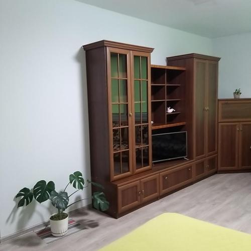 a large wooden cabinet in a room with a potted plant at Дво і одно кімнатні апартаменти новобуд рн авторинку трц Адреналін сіті in Luts'k