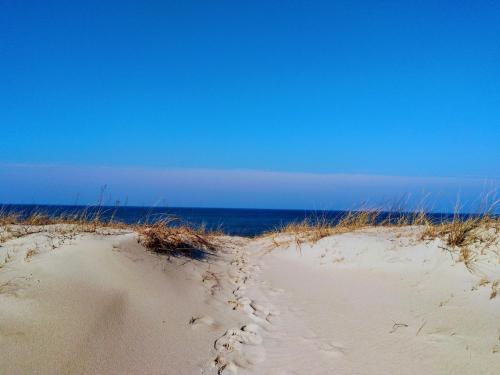 ニダにあるAudringaの海を背景にした砂浜