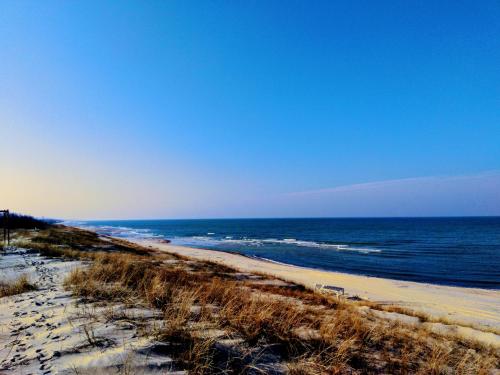 Kraštovaizdis prie apartamentų