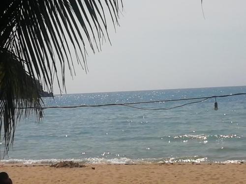 
A beach at or near the resort
