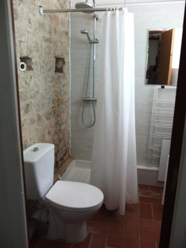 La salle de bains est pourvue de toilettes et d'une douche avec rideau de douche. dans l'établissement chez capy, à Frayssinet