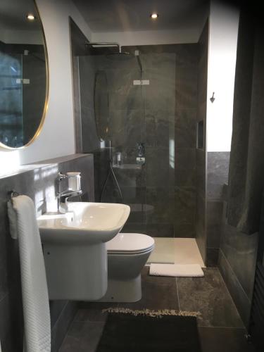 uma casa de banho com um lavatório, um WC e um chuveiro em The Thirsty Scholar em Penryn