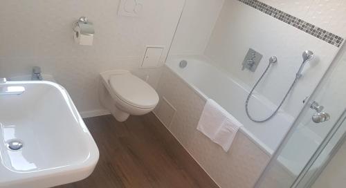 a bathroom with a toilet and a sink and a shower at Boutique-Hotel „Altes Rathaus“ in Lahnstein