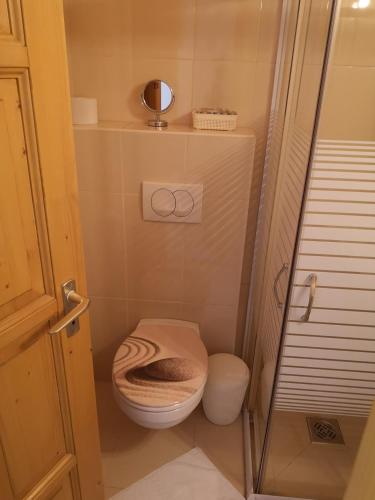 a small bathroom with a toilet with a glass door at Szent István Wellness Panzió in Makó