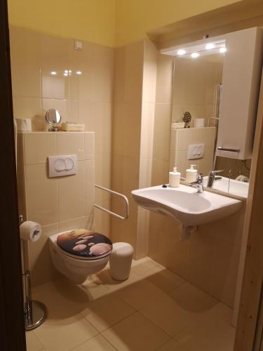 a bathroom with a sink and a toilet and a mirror at Szent István Wellness Panzió in Makó