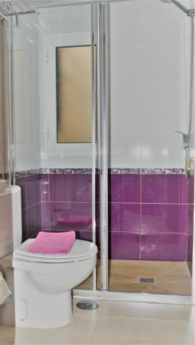a bathroom with a toilet and a shower at Apartamentos herederos Lm in Caleta de Sebo