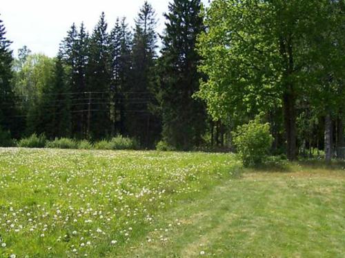 a field of green grass with trees and flowers at 5 person holiday home in LAMMHULT SVERIGE in Förhult