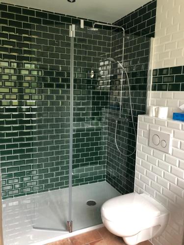 une salle de bain avec une douche avec des toilettes et un lavabo dans l'établissement Manoir de la Grand'Cour, à Soulgé-sur-ouette