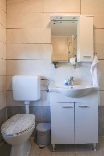 a bathroom with a toilet and a sink and a mirror at Apartments Pr Fajfarju in Bled