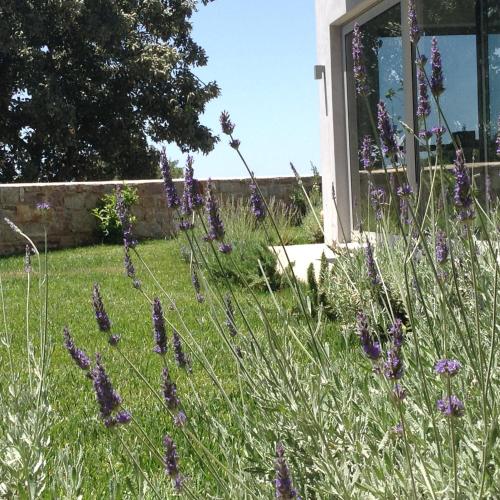 Gallery image of Lidea Boutique Hotel in Potamós