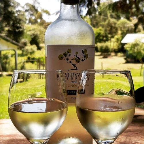 two glasses of white wine next to a bottle of wine at CHALÉ ESTÂNCIA OURO VERDE in Lages