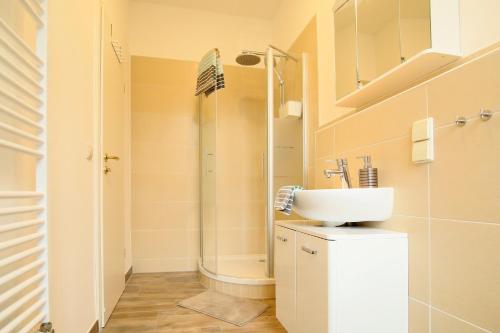 uma casa de banho com um lavatório e um chuveiro em Kaitzbach-Idylle em Dresden