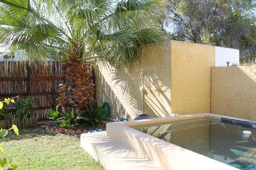 a backyard with a swimming pool and a palm tree at Goblin's Mead in Edgemead