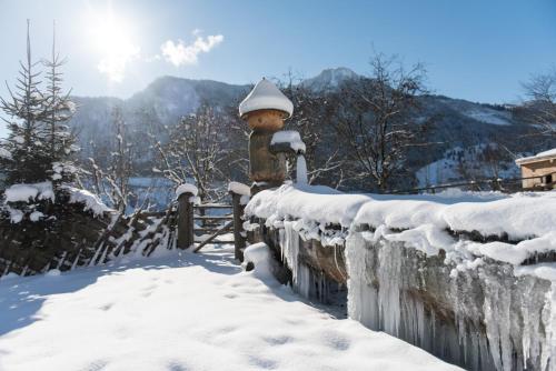 a fire hydrant covered in snow next to a fence at Ganzenhubhof in Goldegg
