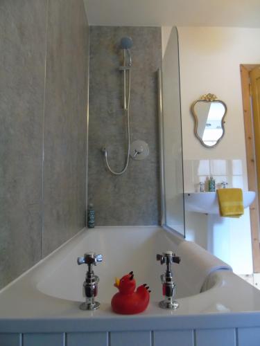 a bathroom sink with a rubber duck sitting on it at Stable Cottage, CrannachCottages in Garve