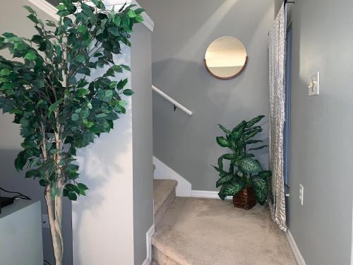 Terra Verde Vacation Rentals photo 10