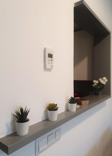a shelf with potted plants on a wall at Iberflat Vega de Triana in Camas