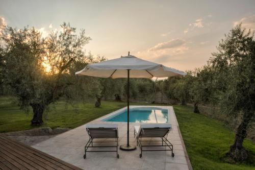 a patio with an umbrella and two chairs and a pool at Posada Verde Oliva in Maipú