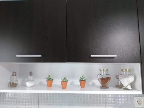 a shelf with vases and potted plants on it at MAGDA APARTMENTS in Nea Roda