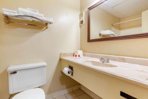W łazience znajduje się umywalka, toaleta i lustro. w obiekcie Econo Lodge Burlington I-40 w mieście Burlington