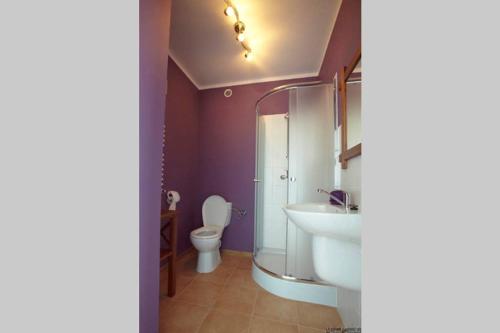 a bathroom with a toilet and a sink at Dom pod Dziką Gruszą in Piecki