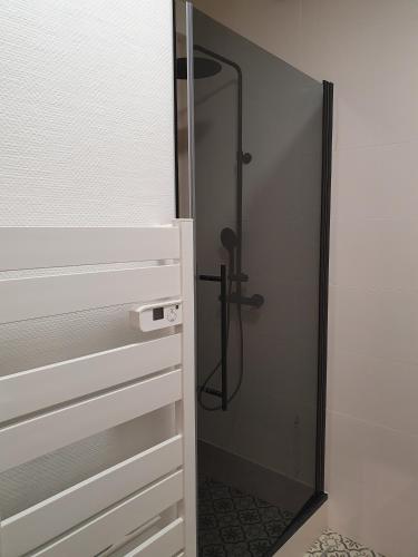 une salle de bain avec une douche avec une porte vitrée dans l'établissement T2 Brest centre 