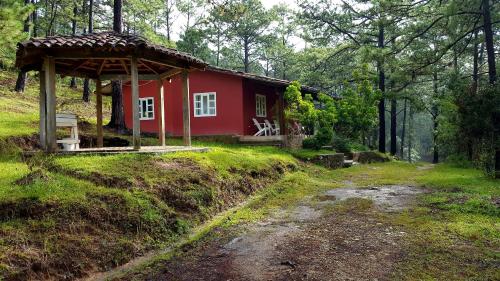 a red house in the middle of a forest at Cabañas Bosque llano de la Virgen in Intibucá