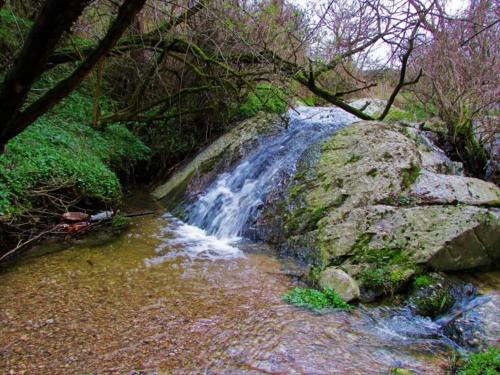 a waterfall in a forest with rocks and trees at Brvnara Vršac in Vršac