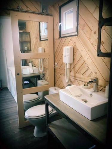 une salle de bain avec un lavabo et des toilettes dans l'établissement Cottage tout confort au milieu des chevaux, à Saint-Fargeau