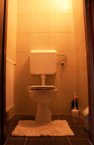 a bathroom with a toilet and a rug at House Hévíz in Hévíz