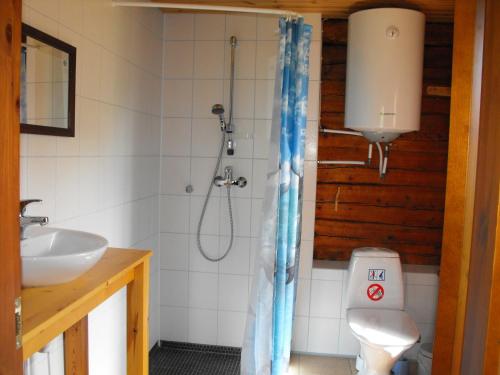 a bathroom with a shower and a toilet and a sink at Rukkilille Holiday Home in Pärsama