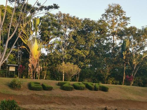 a garden with a row of bushes and trees at El Zota Hotel in Cariari