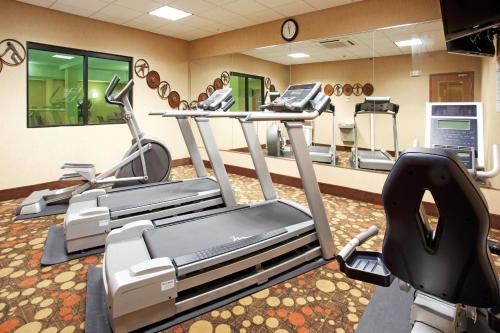 a gym with several treadmills and cardio machines at Holiday Inn Express and Suites Los Alamos Entrada Park, an IHG Hotel in Los Alamos