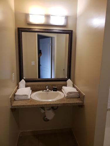 Gallery image of Hotel Portlight in Wilmington