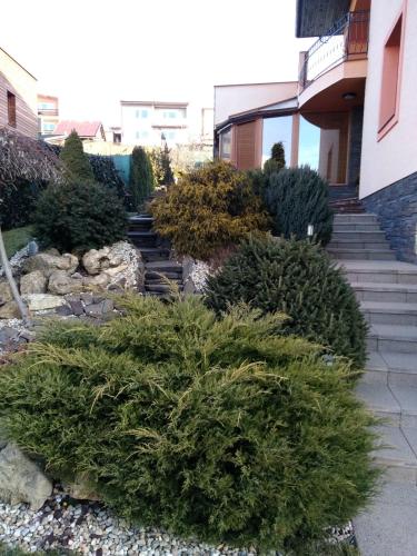 Κήπος έξω από το Brezno 2 izbovy Apartman Sabi