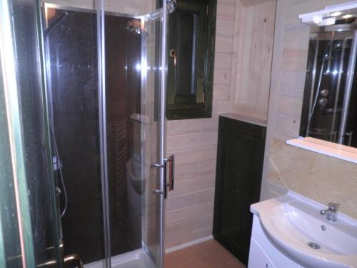 a bathroom with a shower and a sink at Chalet Confort Aloya in Ranspach