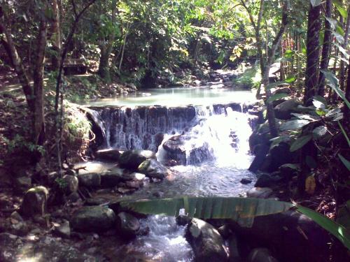 a waterfall in the middle of a forest at Seri Jati Homestay in Papar