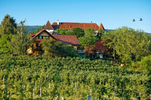 een huis op een heuvel naast een wijnveld bij Landhaus GRETE in Stubenberg