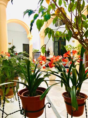 Fabuloso Loft en Centro Histórico de Córdoba con Parking bajo reserva Tendillas Mezquita-Catedral