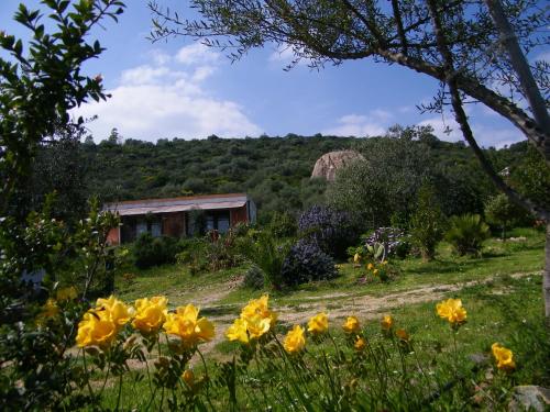 Gallery image of B&B Casa per ferie VillaggioCarovana in Castiadas