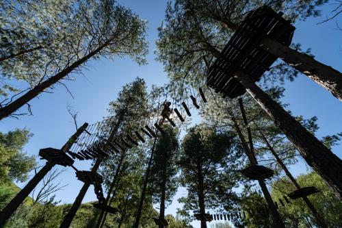 a person jumping over a zip line in the trees at Gooderson Drakensberg Gardens Golf & Spa Resort in Drakensberg Garden
