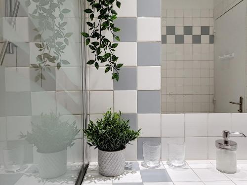 une salle de bains avec trois plantes en pot sur un comptoir dans l'établissement Le Tisserand by Cocoonr, à Lyon