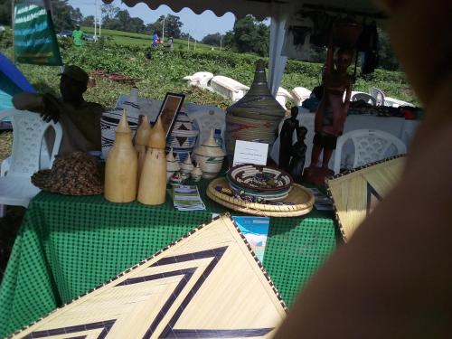 una mesa con un mantel verde con jarrones. en Imuhira Campsites&CBT en Macuba