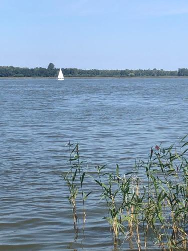 Φωτογραφία από το άλμπουμ του Lake View Holiday σε Podamirowo