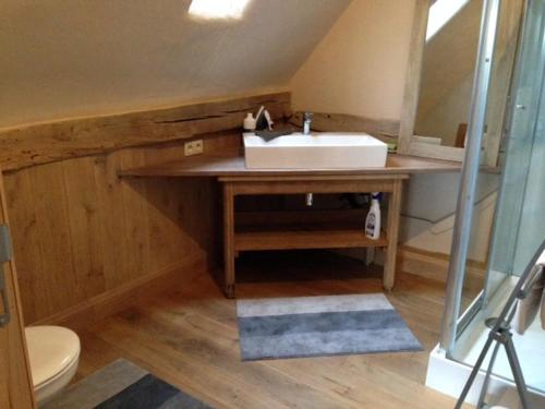 a bathroom with a sink and a mirror at Trommelhoeve Farm Lofts in Boechout