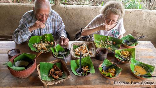 Habarana Farm Cottage – Photos 3