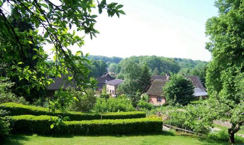 a garden with hedges and houses in the background at Malus Ponyhof in Todenbüttel