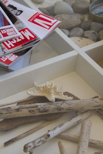 a box with a starfish and other items in it at Hôtel Le Vert Bois in Dolus d'Oléron